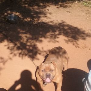 Meet your Posher, Richard